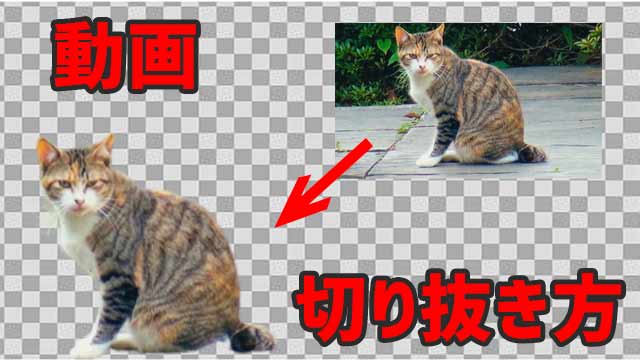 動画に写ってる人物だけ切り抜きする方法 必要なモノは2つ ペコのブログ